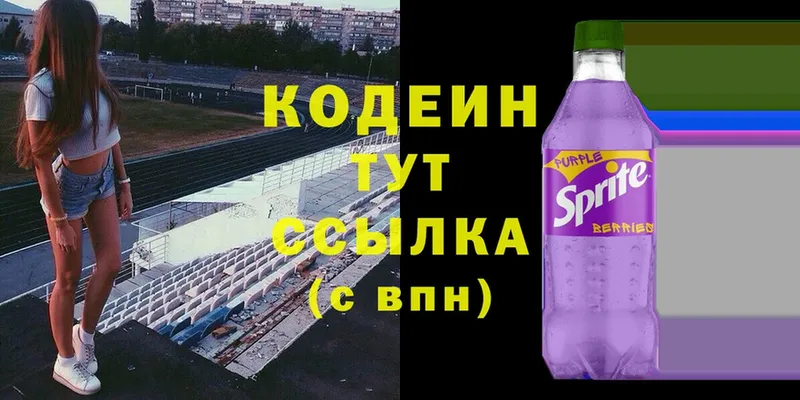 продажа наркотиков  Кизляр  hydra маркетплейс  Кодеиновый сироп Lean Purple Drank 