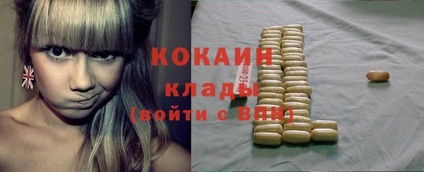 шишки Михайлов