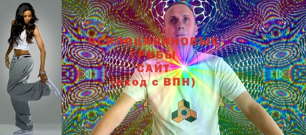 ешки Надым