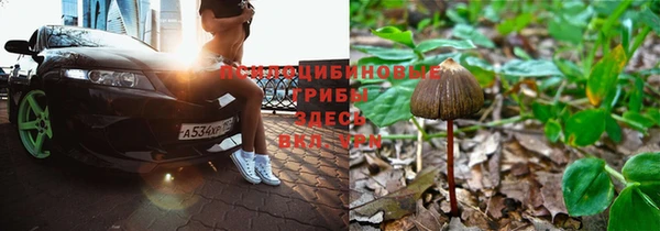 a pvp Михайловск