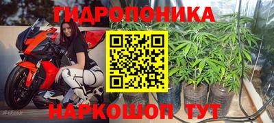 прущие крисы Волжский