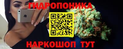 прущие крисы Волжский
