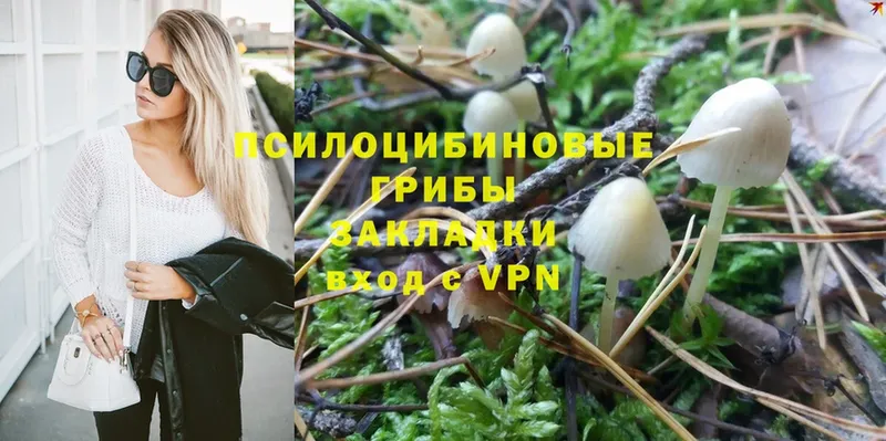 Псилоцибиновые грибы Psilocybe  hydra ONION  Кизляр  закладка 