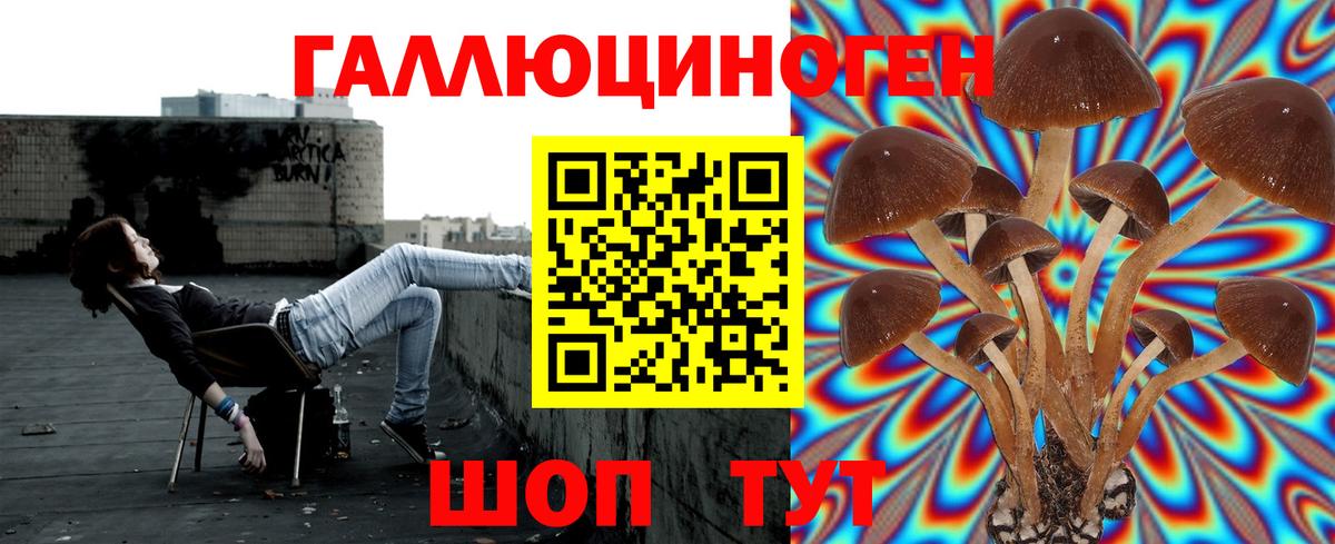 Галлюциногенные грибы GOLDEN TEACHER  Вход с VPN  Псилоцибиновые грибы прущие грибы  Кизляр 