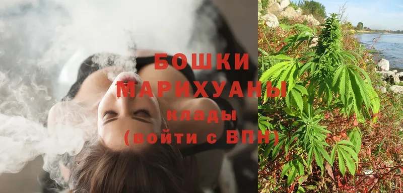 Бошки марихуана SATIVA & INDICA  купить наркотики цена  Кизляр 