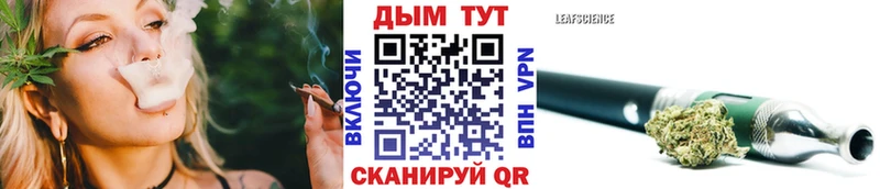 Конопля сатива  Кизляр 